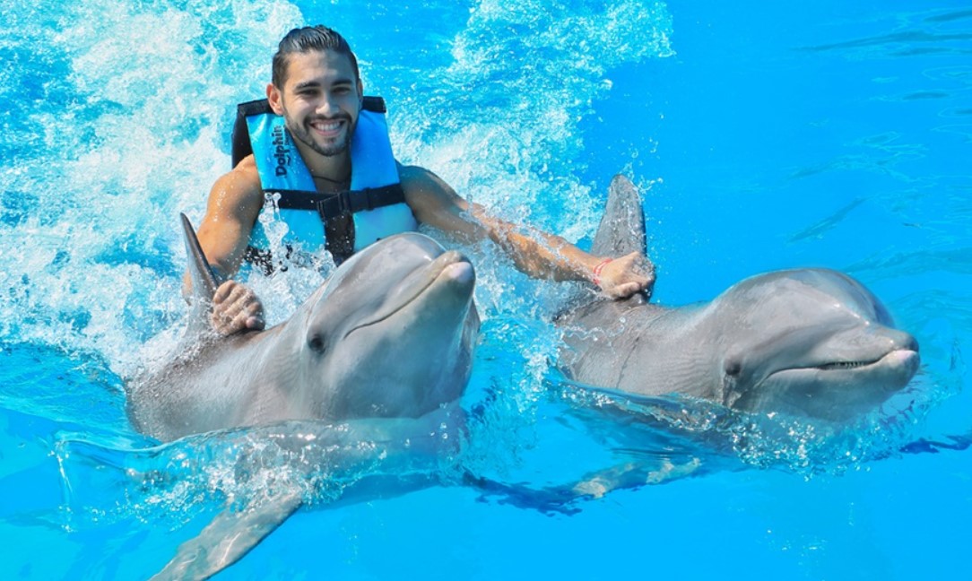 Dolphin Discovery Cozumel: A Paradise for Dolphin Lovers and Adventure Seekers